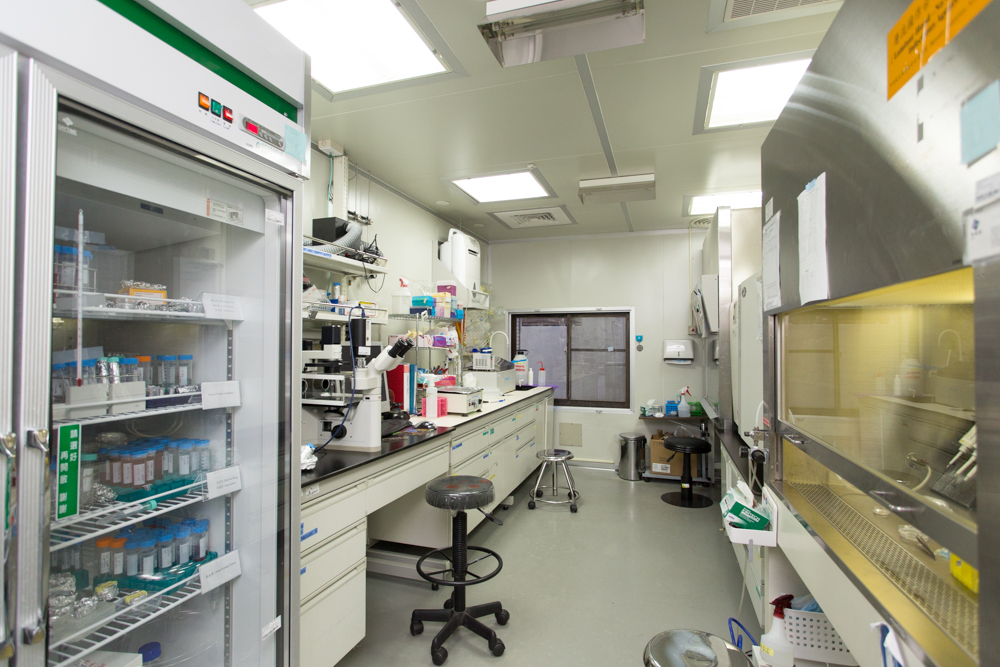 cell_culture_room.jpg